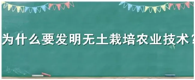 为什么要发明无土栽培农业技术 | 三农答疑