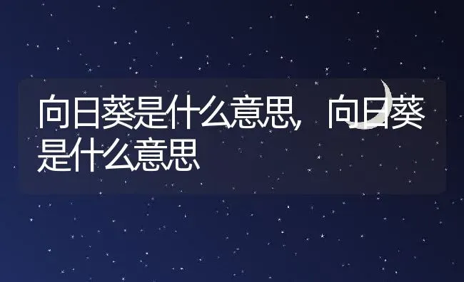 向日葵是什么意思,向日葵是什么意思 | 养殖常见问题