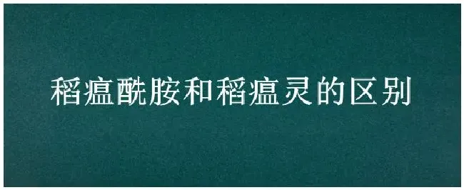 稻瘟酰胺和稻瘟灵的区别 | 生活常识