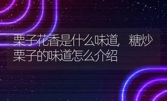 栗子花香是什么味道,糖炒栗子的味道怎么介绍 | 养殖常见问题