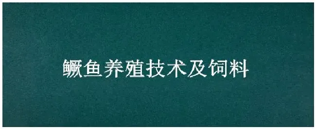 鳜鱼养殖技术及饲料 | 科普知识