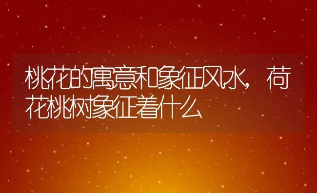 桃花的寓意和象征风水,荷花桃树象征着什么 | 养殖常见问题