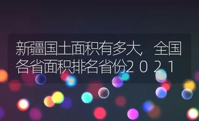 新疆国土面积有多大,全国各省面积排名省份2021 | 养殖常见问题