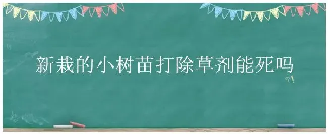 新栽的小树苗打除草剂能死吗 | 农业问题