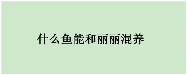 什么鱼能和丽丽混养 | 三农问答