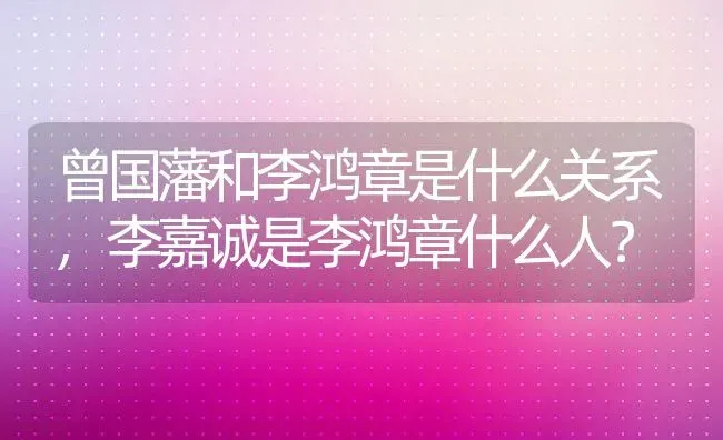 曾国藩和李鸿章是什么关系,李嘉诚是李鸿章什么人？ | 养殖常见问题