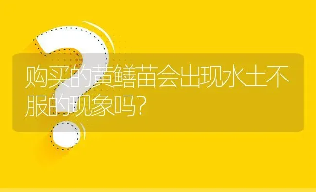 购买的黄鳝苗会出现水土不服的现象吗? | 养殖问题解答