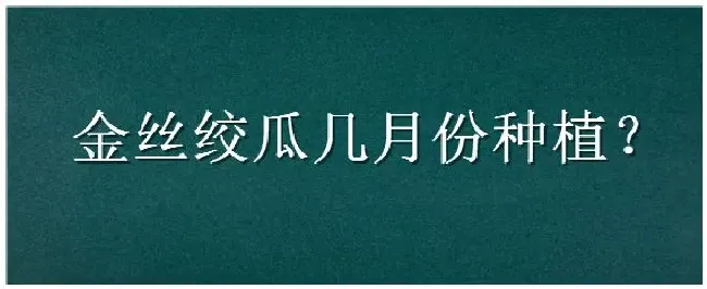 金丝绞瓜几月份种植 | 三农答疑