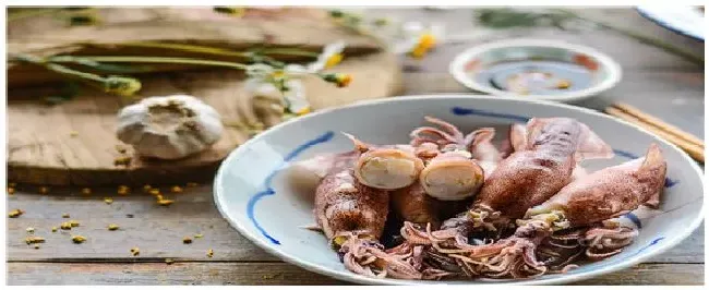 墨鱼是鱿鱼吗 | 农业常识