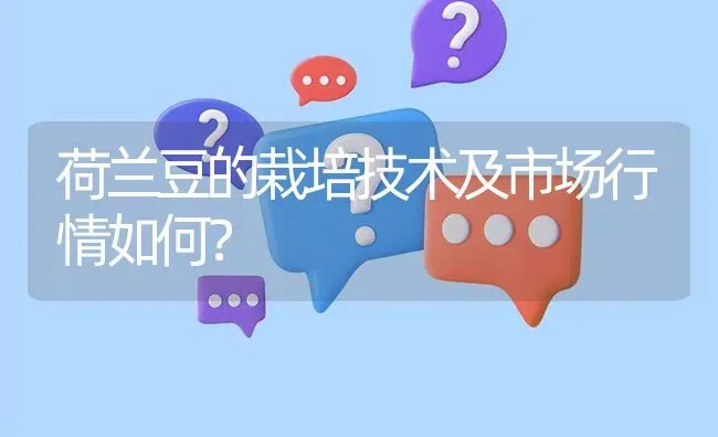 荷兰豆的栽培技术及市场行情如何? | 养殖问题解答