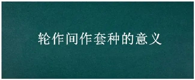轮作间作套种的意义 | 三农问答