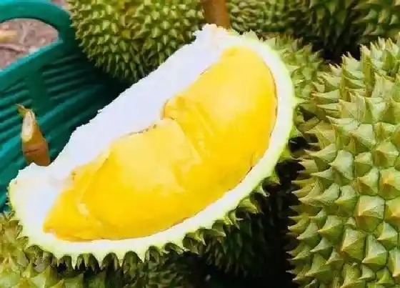 植物常识问题|榴莲的功效与作用