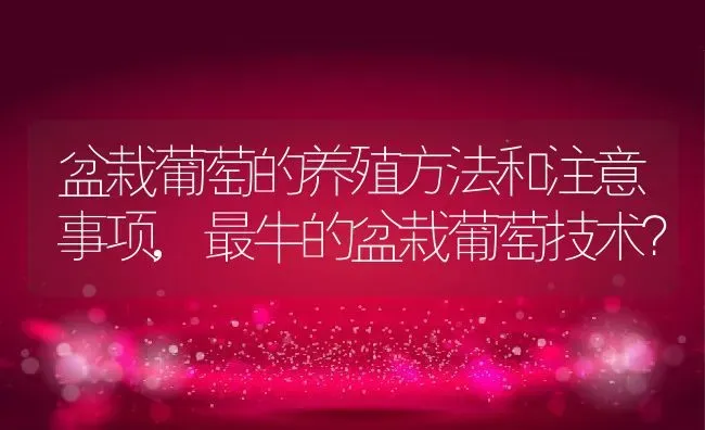 盆栽葡萄的养殖方法和注意事项,最牛的盆栽葡萄技术？ | 养殖常见问题