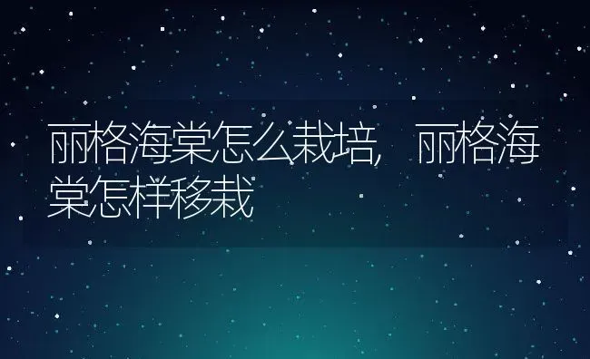 丽格海棠怎么栽培,丽格海棠怎样移栽 | 养殖常见问题