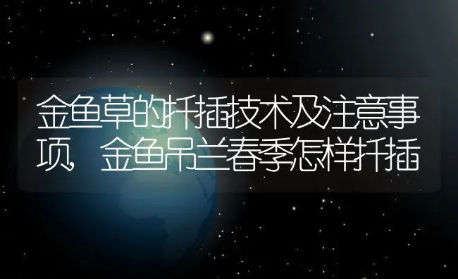 桔子树什么时候嫁接,蜜桔嫁接的方法 | 养殖常见问题