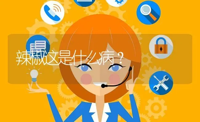 辣椒这是什么病? | 养殖问题解答