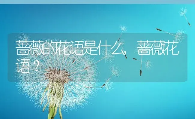 蓝莓苗怎么种植方法,蓝莓树苗怎么种？ | 养殖常见问题