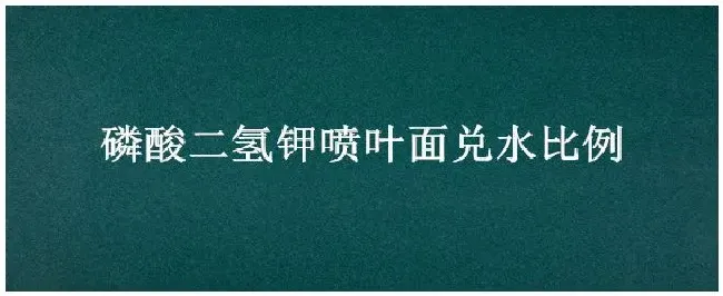 磷酸二氢钾喷叶面兑水比例 | 三农问答