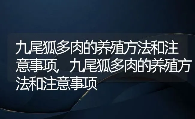 九尾狐多肉的养殖方法和注意事项,九尾狐多肉的养殖方法和注意事项 | 养殖常见问题