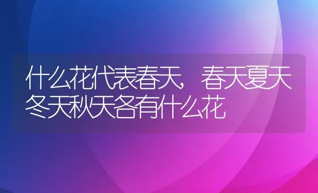 什么花代表春天,春天夏天冬天秋天各有什么花 | 养殖常见问题