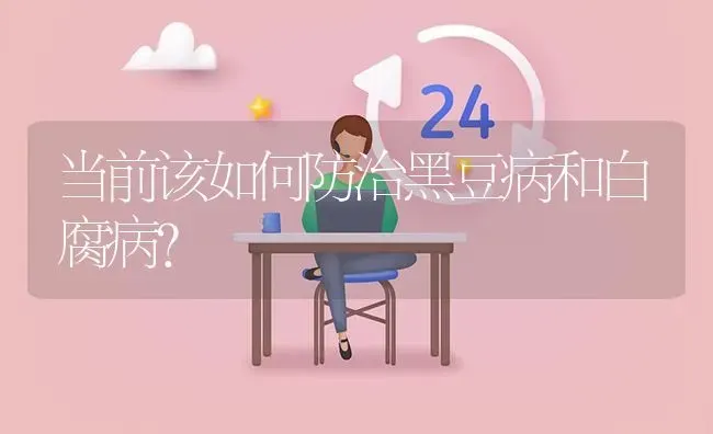 当前该如何防治黑豆病和白腐病? | 养殖问题解答