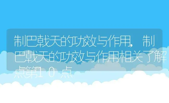 制巴戟天的功效与作用,制巴戟天的功效与作用相关了解点第10点 | 养殖常见问题