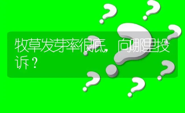 牧草发芽率很底,向哪里投诉? | 养殖问题解答