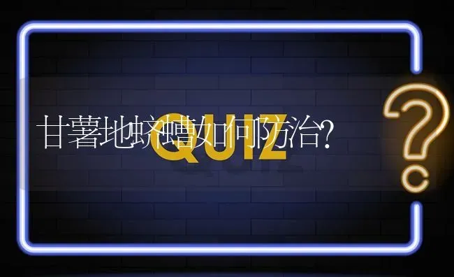 甘薯地蛴螬如何防治? | 养殖问题解答