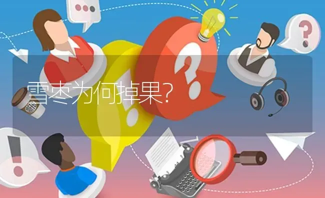 雪枣为何掉果? | 养殖问题解答