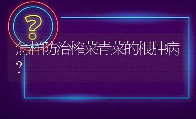 怎样防治榨菜青菜的根肿病? | 养殖问题解答