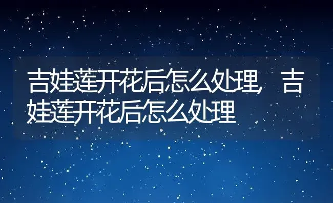 雀舌黄杨喜阴还是喜阳,雀舌黄杨的养殖方法和注意事项？ | 养殖常见问题