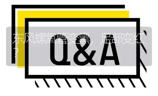 东风螺氧管变黑,足部变红? | 养殖问题解答