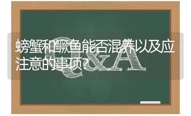 螃蟹和鳜鱼能否混养以及应注意的事项? | 养殖问题解答