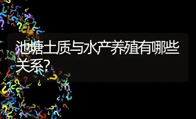 池塘土质与水产养殖有哪些关系? | 养殖问题解答