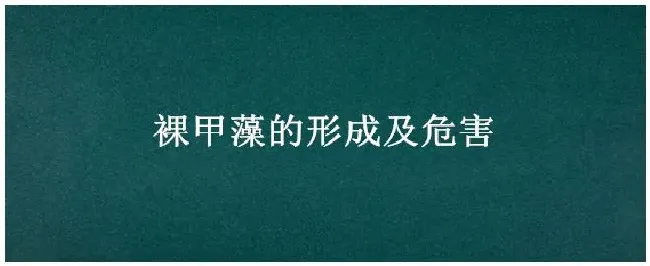 裸甲藻的形成及危害 | 农业问题