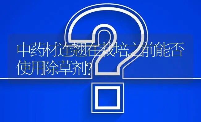 中药材连翘在栽培之前能否使用除草剂? | 养殖问题解答