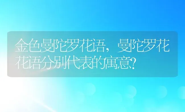 金色曼陀罗花语,曼陀罗花花语分别代表的寓意？ | 养殖常见问题