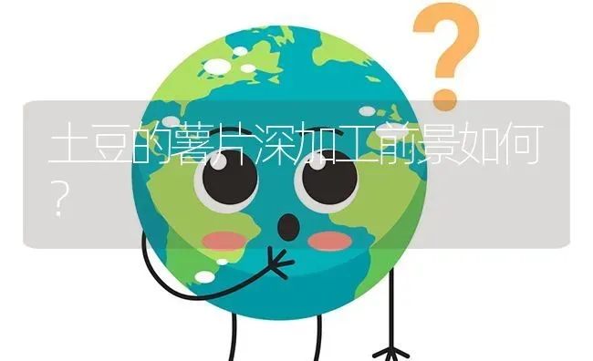 土豆的薯片深加工前景如何? | 养殖问题解答