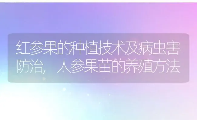 红参果的种植技术及病虫害防治,人参果苗的养殖方法 | 养殖常见问题