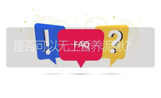 是否可以无土暂养泥鳅? | 养殖问题解答