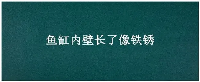 鱼缸内壁长了像铁锈 | 农业答疑