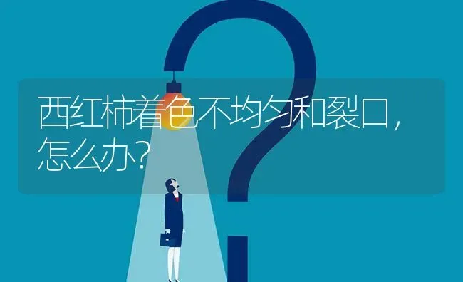 西红柿着色不均匀和裂口,怎么办? | 养殖问题解答