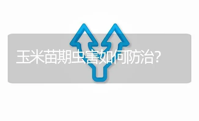 玉米苗期虫害如何防治? | 养殖问题解答