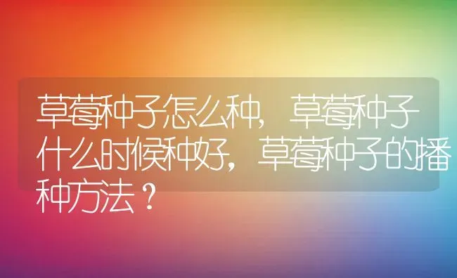 草莓种子怎么种,草莓种子什么时候种好，草莓种子的播种方法？ | 养殖常见问题
