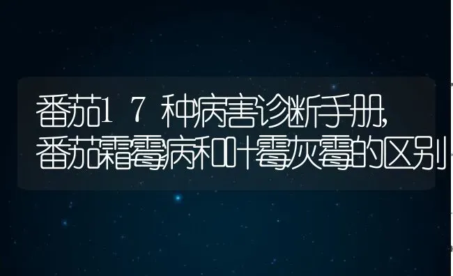 番茄17种病害诊断手册,番茄霜霉病和叶霉灰霉的区别 | 养殖常见问题