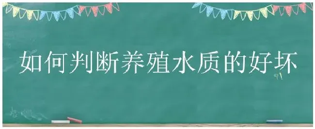 如何判断养殖水质的好坏 | 三农问答