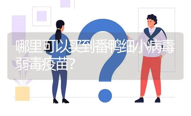 哪里可以买到番鸭细小病毒弱毒疫苗? | 养殖问题解答