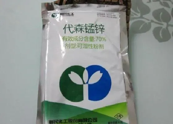 植物常识问题|代森锰锌多菌灵养护茶花越长越多