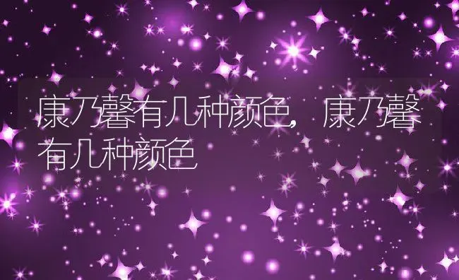 康乃馨有几种颜色,康乃馨有几种颜色 | 养殖常见问题
