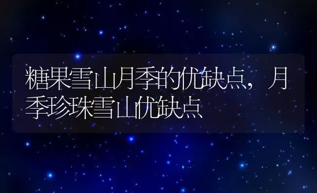 糖果雪山月季的优缺点,月季珍珠雪山优缺点 | 养殖常见问题